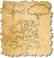 CAD Trees in Elevation